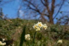 s-_DSC9342