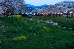s-_DSC1203