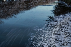 s-_DSC1318-Edit