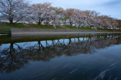 s-_DSC1320-Edit