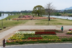 s-_DSC1421