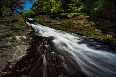 s-_DSC1546-Edit
