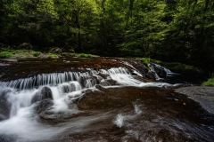 s-_DSC1565