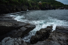 s-_DSC2374