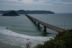 s-_DSC2398