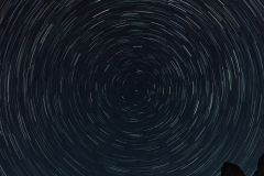 c3603dced6039ff28c9dcea09d285eea